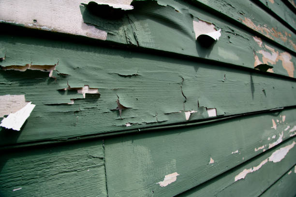 Best Dumpster Rental Services  in Fobes Hill, WA