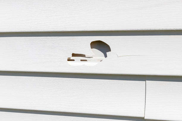 Best Construction Debris Removal  in Fobes Hill, WA